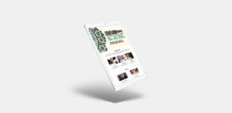 BN Grup Corporate | Portfolio Allanvazz