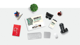 Web, Landing Page, Wordpress BN Grup Corporate | Portfolio Allanvazz