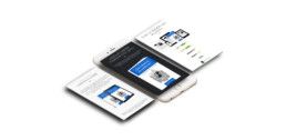 Web, Wordpress, Diseño gráfico, Landing Page, Selling Page. Libro de Auditoría de Juan Bermúdez de ¿Qué miran los auditores? | Portfolio Allanvazz